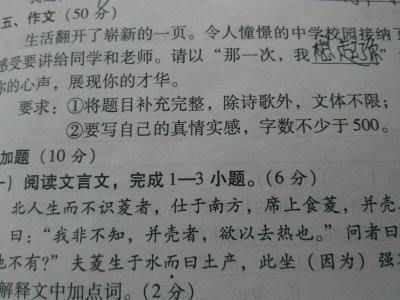 那时我了解父爱