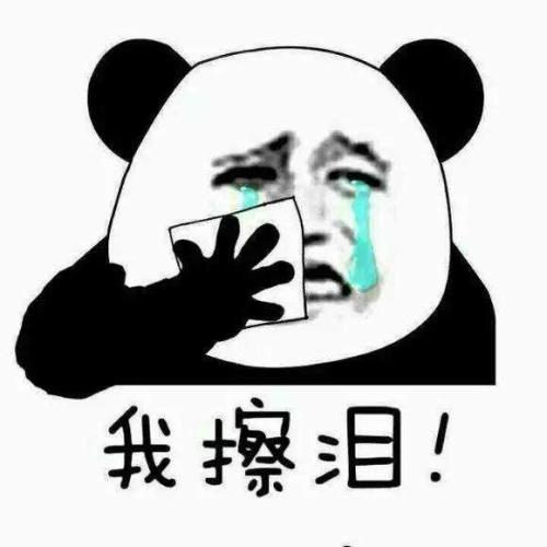 我家的蚊子