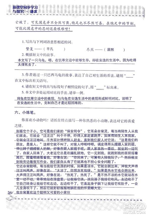 走进新的作文课