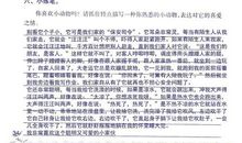 走进作文新课堂