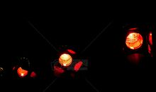 在黑夜里盛装出行