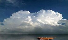 我眼中的“君子”