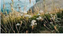 因为平凡，所以快乐