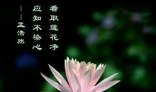 人间有品是清欢