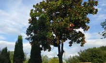 校园的点点滴滴