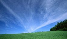 这画面让我流连