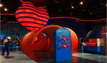 一次有趣的的科技馆之旅