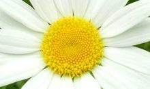 深藏在心底的“风景”