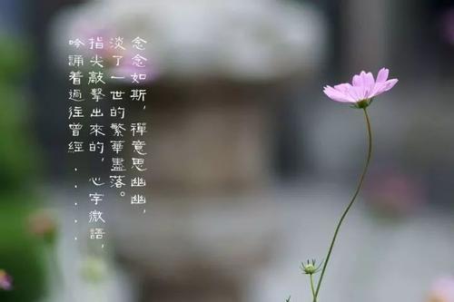 要开心
