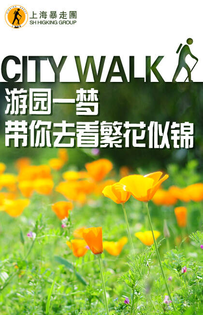 花园里的梦