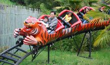 春游红山动物园