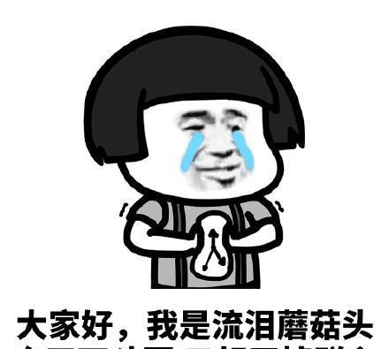 我的表情没有泪
