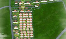 森林是我的家园