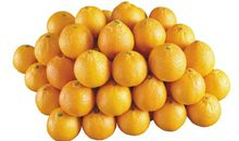 一个橙子惹的祸