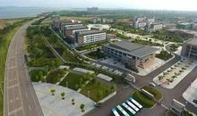 我渴望老师的阳光