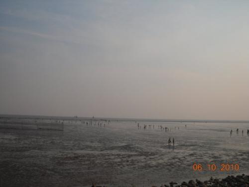 我爱你，祖国的大海