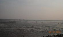 我爱你，祖国的大海