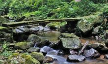 假如我是一条小溪