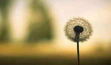 阅读倾听心灵的声音