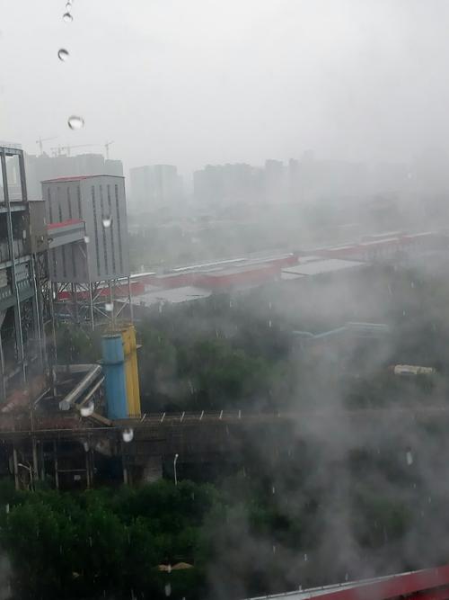 雾和雨