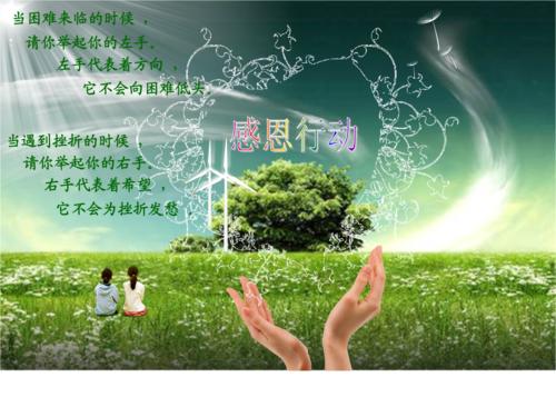 感恩在行动
