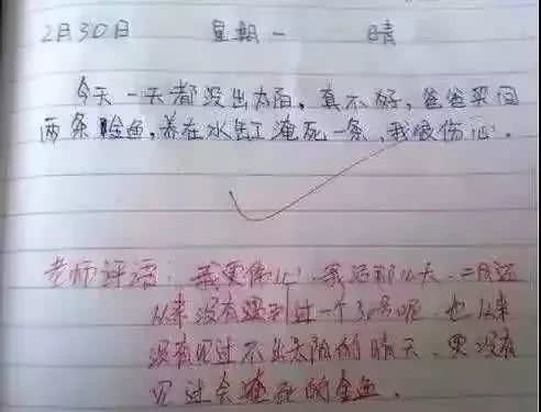 描述小金鱼的成分