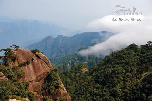 这里的风景很独特