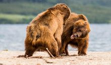 一件“惊心动魄”的事