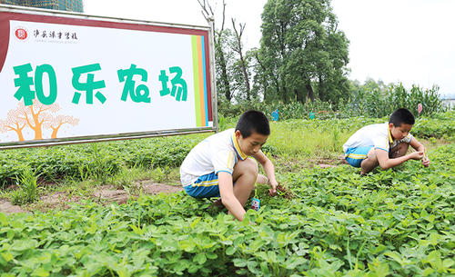 菜园的乐趣