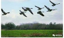 异国他乡的关爱