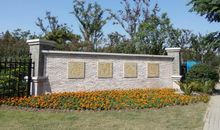 唐闸公园的菊花展