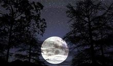 月亮沉醉的晚上