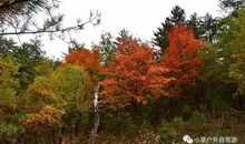 水冲沟丛林探险