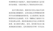 关于上海的作文