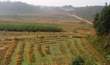 乡村的四季之光