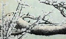 朵朵白梅改变了我