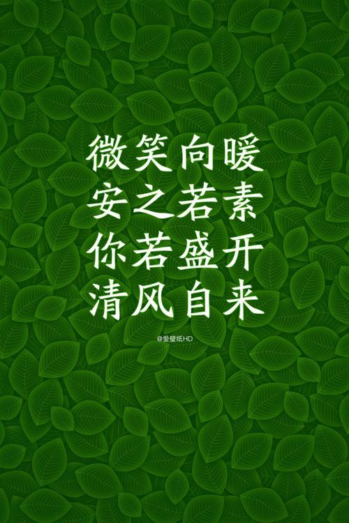 微笑的脸爱我的人