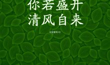 微笑着面对爱我的人