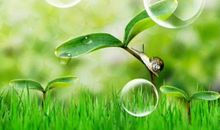 “发芽”的童心