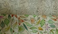 我发现了树叶的秘密