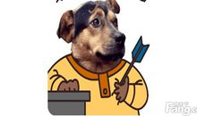 妈妈教我喂狗粮