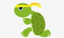 可爱的大乌龟