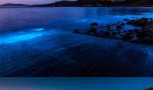 海，蓝给自己看