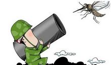 跟蚊子的较量