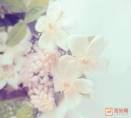 书本的味道使我陶醉