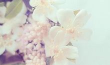 那一抹书香让我陶醉