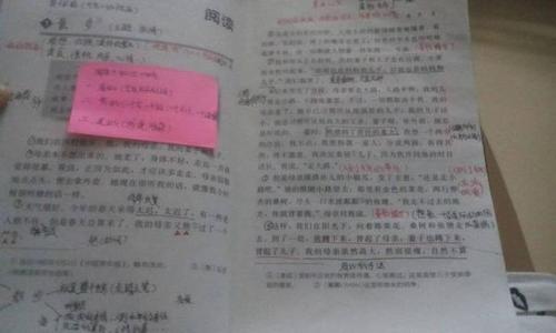 关于步行的组成
