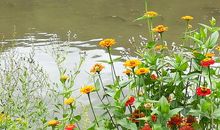 又见故乡一抹情