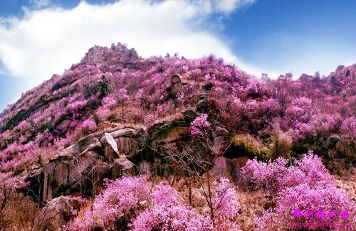 大竹山一日游