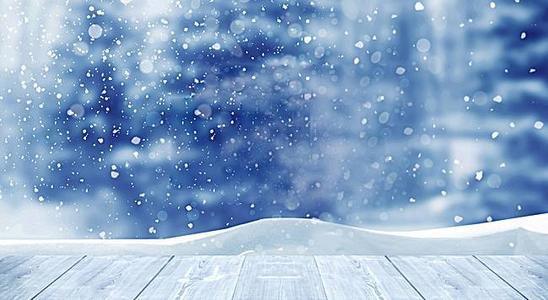 棕榈雪